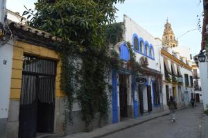 ROMERO 6 ESTUDIOS Córdoba