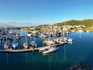 Blue on Blue Apartment 932