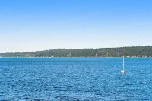Three Eagles On Whidbey