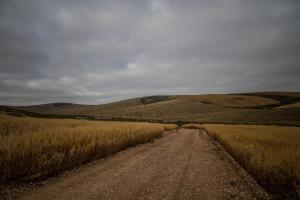 Melk Houte Bosch Manor House