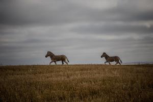 Melk Houte Bosch Manor House