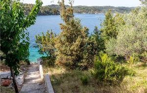 Cozy Home In Vela Luka With Wifi