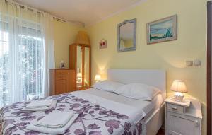 Pet Friendly Apartment