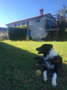 House Ivas with garden