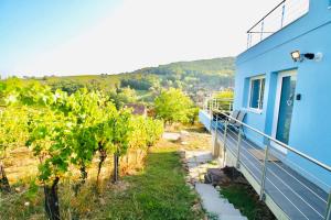 Appartements Domaine BOHN Blue Winehouse : photos des chambres