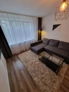 COZY APARTMENT PANEVEZYS - Kučiai