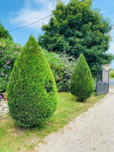 Appartements Gite avec piscine et jardin Le Cosy - Les Bergeronnettes Bergerac : photos des chambres