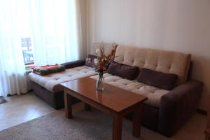 Cozy 1 bedroom selfcatering fully equipped flat in St Ivan Rilski Complex Bansko with free SPA services
