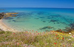 Apartment mit 2 Schlafzimmern