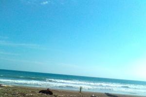 Maison du Bonheur costaricienne sur la plage avec bassin de rafraichissement