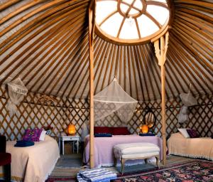 Goodmuda Tipis