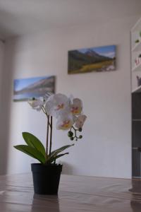 Appartements Le Guisanel : photos des chambres