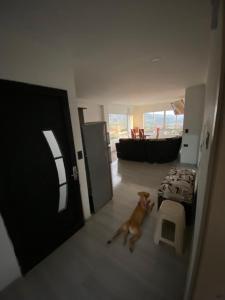 CASA TOÑITA