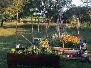 Maisons de vacances Jardin d'Essais (Gite) : photos des chambres