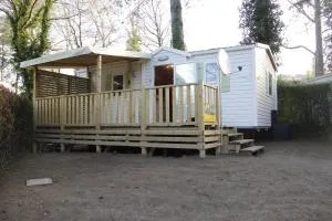 Entre sable et feuillus - 卡米尔斯