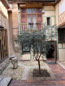 Aube berges de Troyes