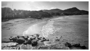 La Cascada Hostel & Restaurant