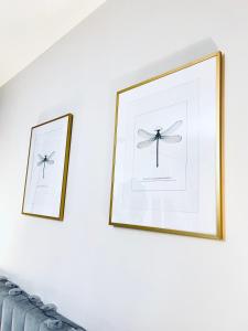 Apartamenty Kamienica Arte 2