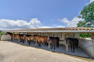 Hotels Domaine De Fraisse : photos des chambres