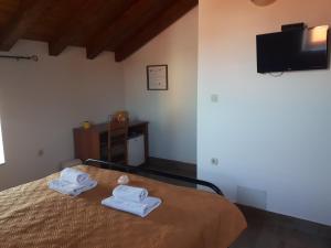 Guest House Provišta