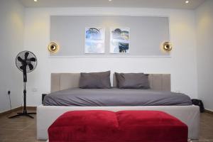 Luxury Apartments