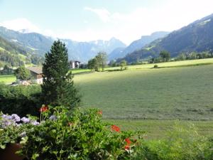 Apart Alpensonne