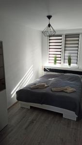 Apartament Zdrojowy