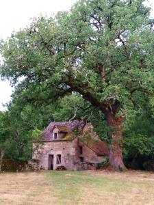 B&B / Chambres d'hotes Les granges de l abbaye : photos des chambres