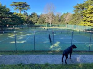 Appartements Appart 6 pers au Bord de la Mer : photos des chambres