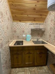 Затишок в Карпатах 1