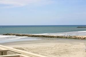 F311 - Pacific Surf Shack