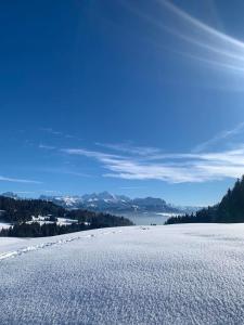 Appartement Montagnard au pied des pistes
