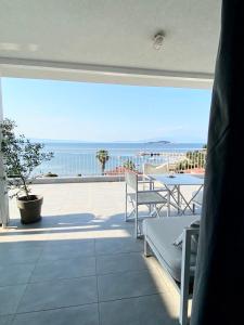 Aristotelia Gi - Panorama