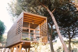 miCielo - Baumhäuser