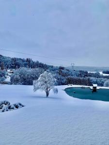 Villas Nature Cottage Vosges Spa Le Cerf : photos des chambres
