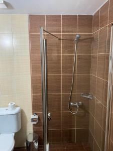 Bansko Royal Tower Apt713