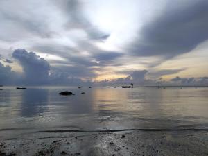 Flat Japaratinga Beach