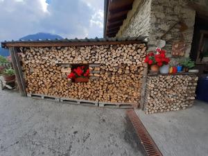 Camera Matrimoniale/Doppia con Letti Singoli con Bagno Privato