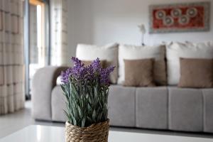 Paraiso a Beira Mar -Sol e Praia