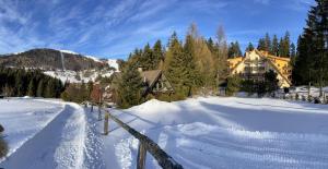 Apartmán & štúdio Tyrkys Spiežovec Donovaly