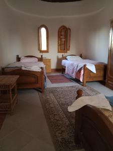 Elysium resort in Bawiti