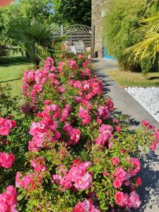 B&B / Chambres d'hotes La Bastide du Moulin - Mont St Michel : photos des chambres