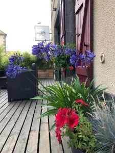 A l'Aube des Volcans - Vitrac