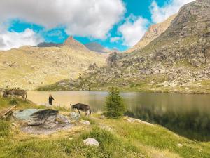 Auberges Relais des Merveilles : photos des chambres