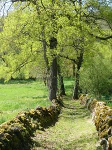 B&B / Chambres d'hotes Le Hameau du Quercy : photos des chambres