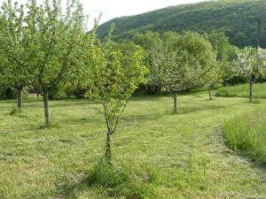 B&B / Chambres d'hotes Le Hameau du Quercy : photos des chambres