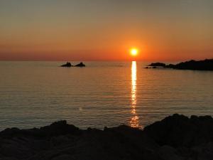 Sea Shell Isola Rossa img21