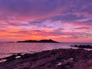 Sea Shell Isola Rossa img22