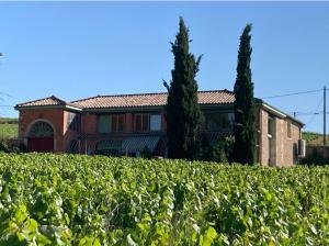 Maisons de vacances Gite de la vieille vigne : photos des chambres