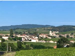 Maisons de vacances Gite de la vieille vigne : photos des chambres